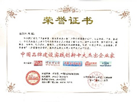 中国品牌建设实践创新十大杰出企业家